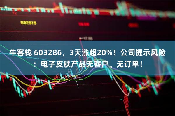 牛客栈 603286，3天涨超20%！公司提示风险：电子皮肤产品无客户、无订单！