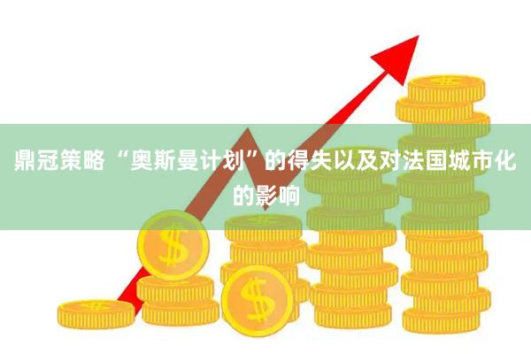鼎冠策略 “奥斯曼计划”的得失以及对法国城市化的影响