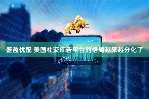 盛盈优配 美国社交广告平台的格局越来越分化了